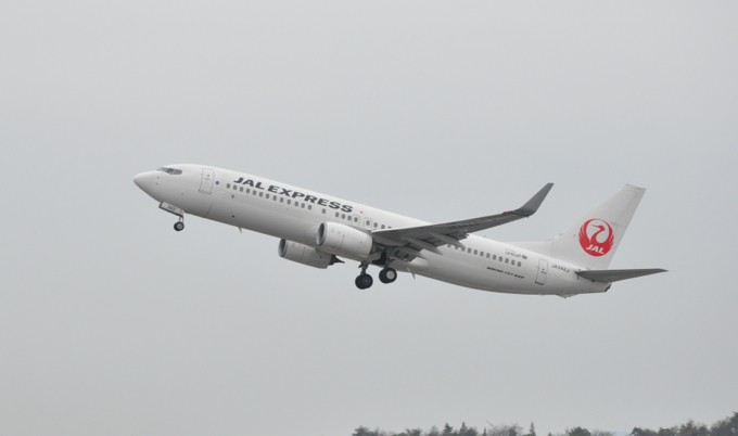 JAL 737-800